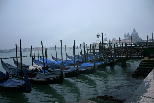 Venice6